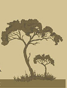 Natural Beekeeping Australia Logo
